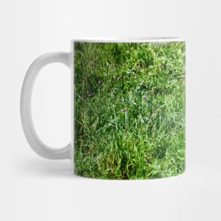 Fox Hunt / Swiss Artwork Photography Mug